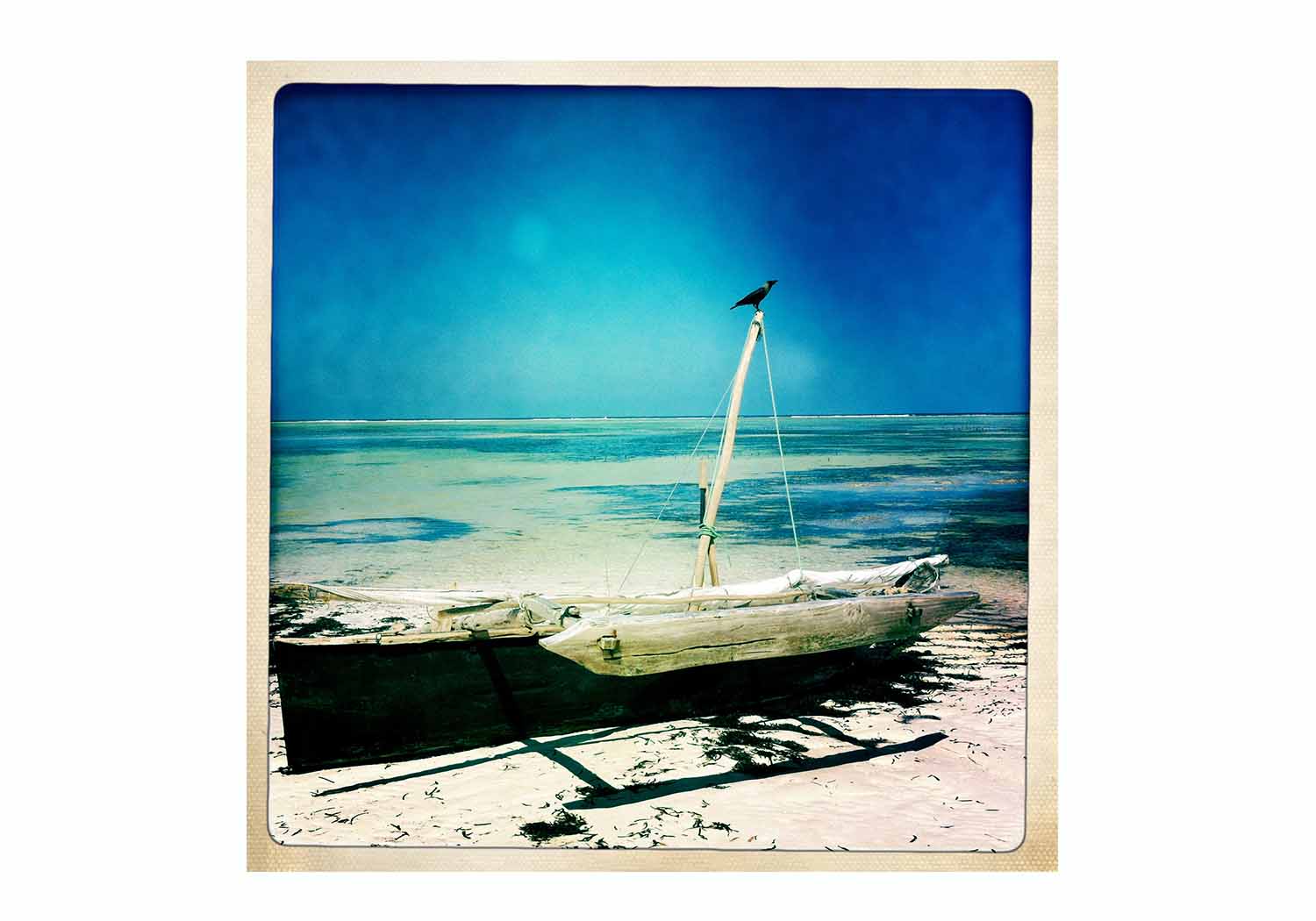 Zanzibar - Natasha Hemrajani for currentMood
