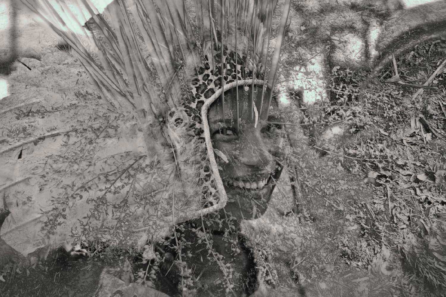 Brazil Carnival 3 Natasha Hemrajani captures the Carnival of Brazil for currentMood Mag