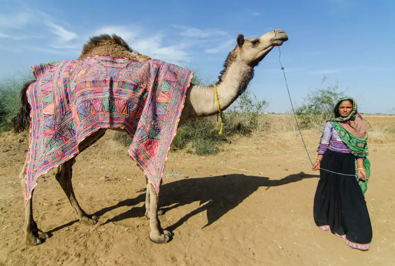 Anita Dongre Grassroot: Fashion That Empowers | currentMood visits Grassroot’s craft collective in Bakutra, Gujarat | Images Courtesy: Anita Dongre Grassroot | currentMood | Fashion and culture magazine | Anita Dongre