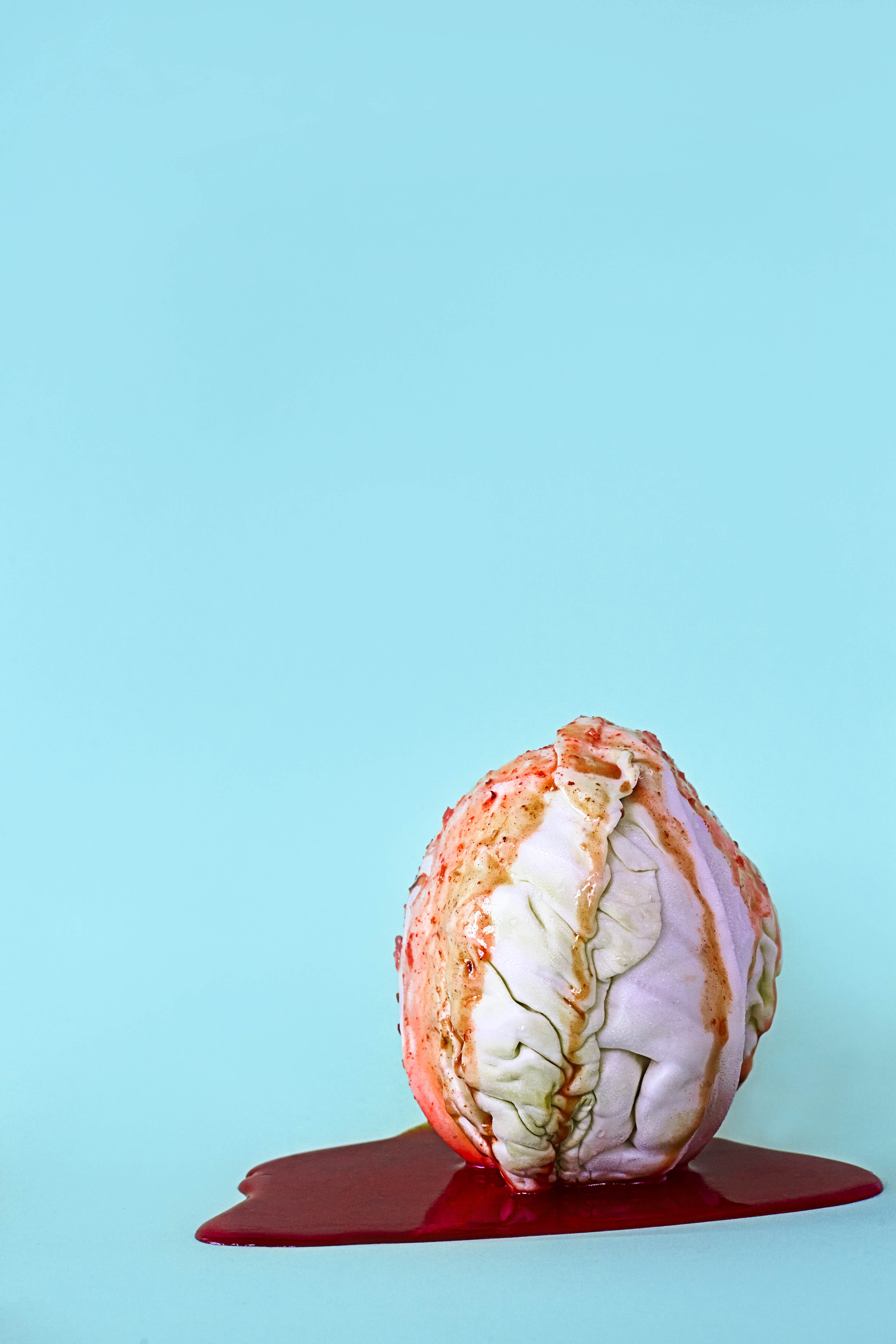 cabbagebrain