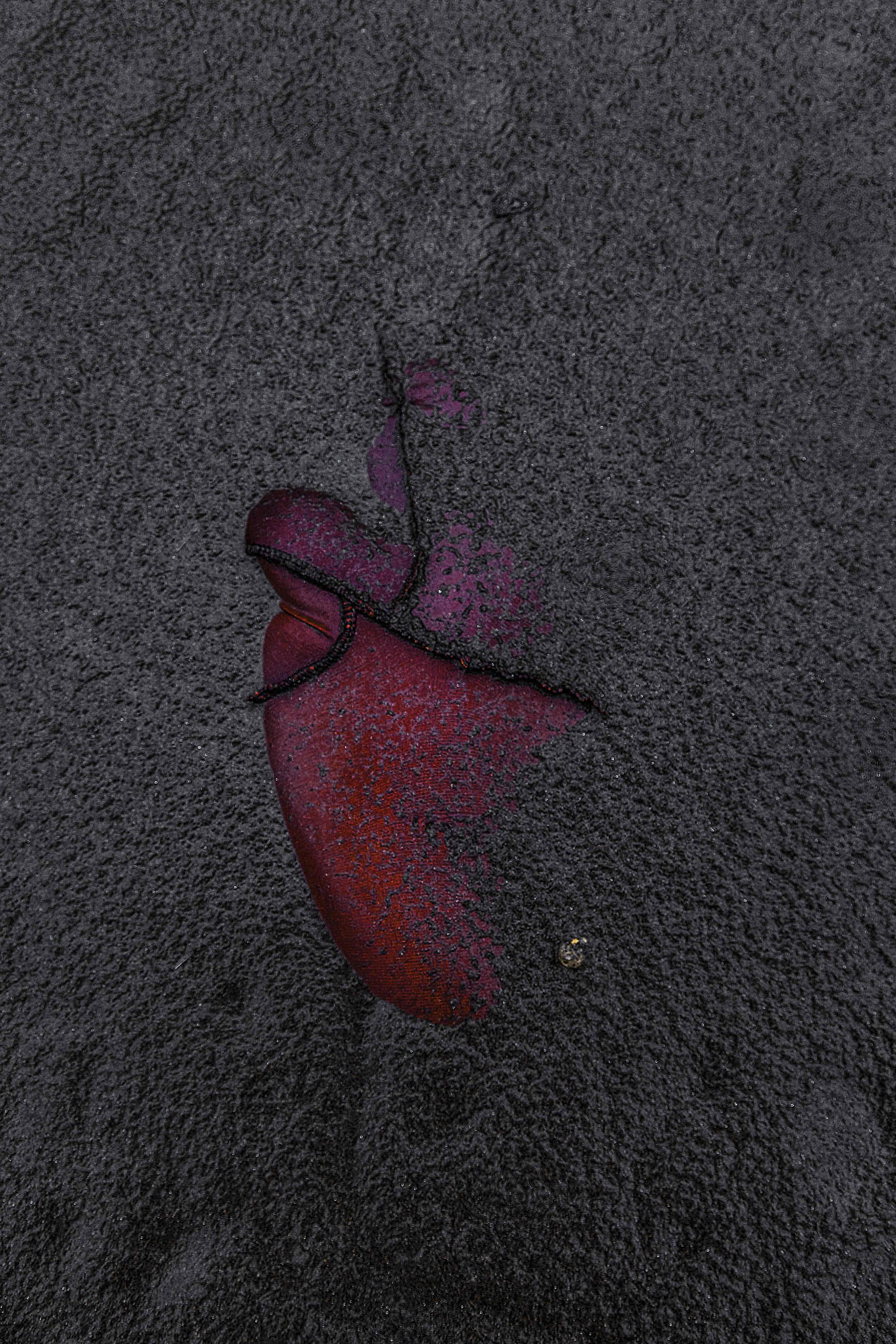 untitled 22